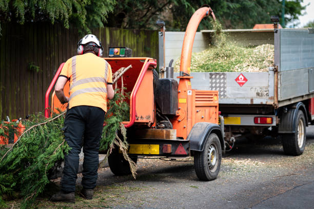 Best Tree Risk Assessment  in USA